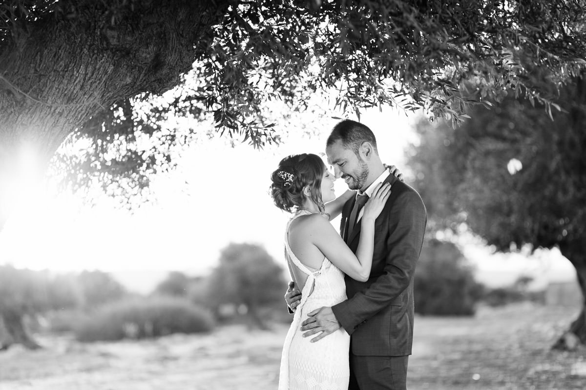 portrait of a couple under the olive trees
