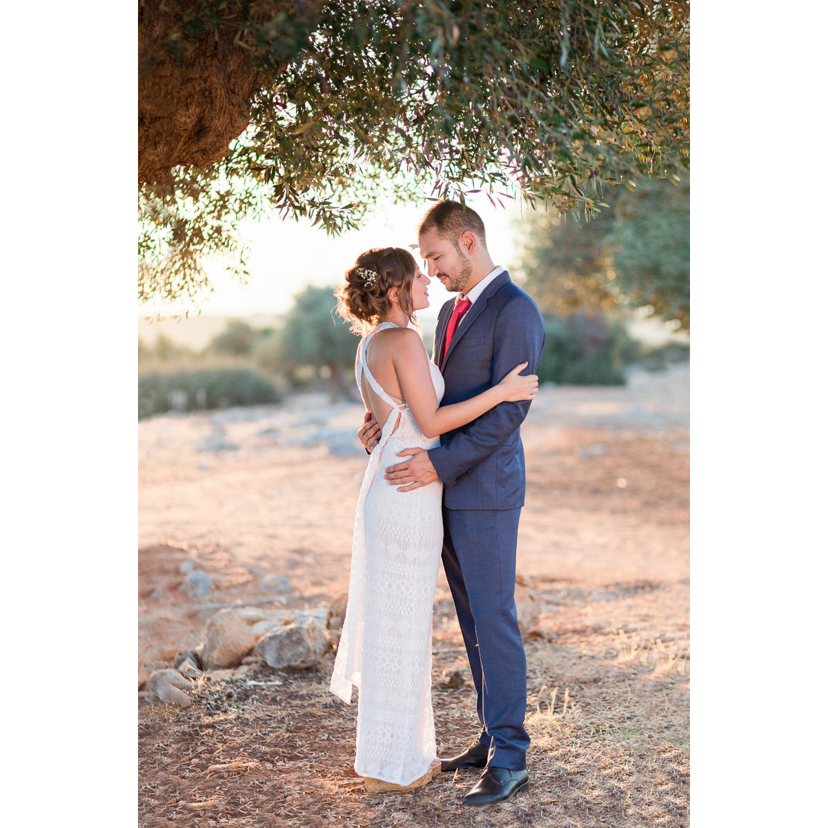 wedding portrait under the olive tree