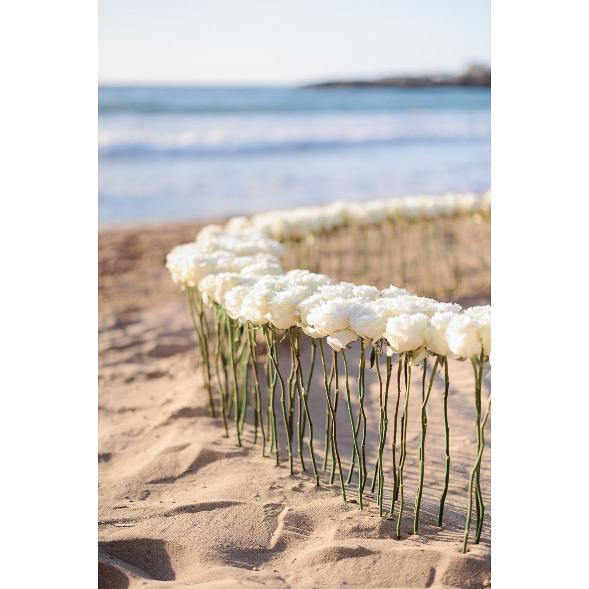 proposal decoration at the beach